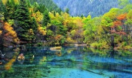 九寨沟视频,自然奇观与人间仙境的完美融合