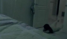 真实灵异事件视频,视频记录下的惊悚瞬间